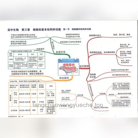 高考生物高效备考策略